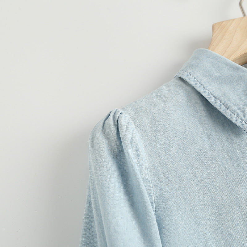 Single-breasted Pile Collar Denim Mini Dresses