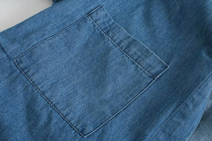 Pile Collar Single-breasted Denim Mini Dresses