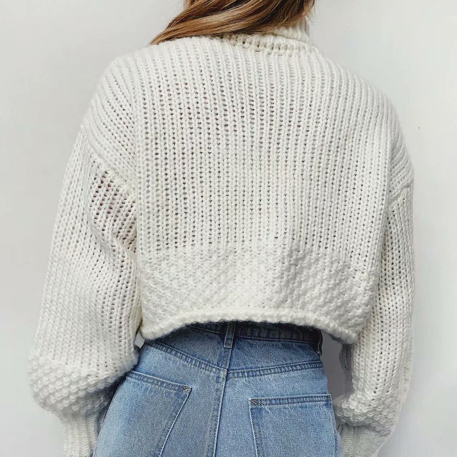 Vintage High Collar Hollow-out Lantern Sleeve Knit Sweaters
