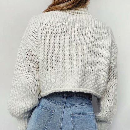 Vintage High Collar Hollow-out Lantern Sleeve Knit Sweaters