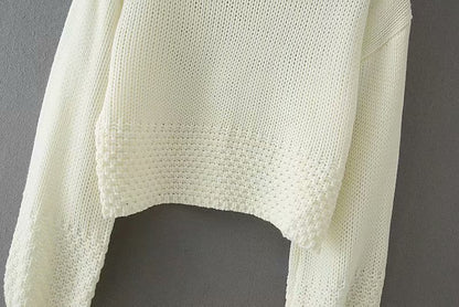 Vintage High Collar Hollow-out Lantern Sleeve Knit Sweaters