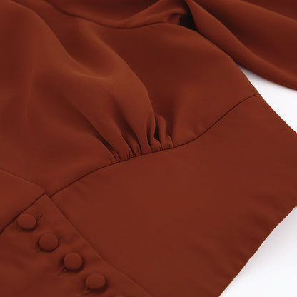 Elegant V-neck Lantern Sleeve Button Shirts