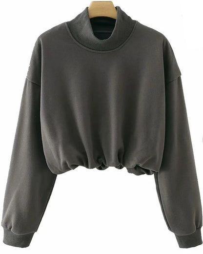 Half High Collar Elastic Waist Shirred Frill Sweatshirts