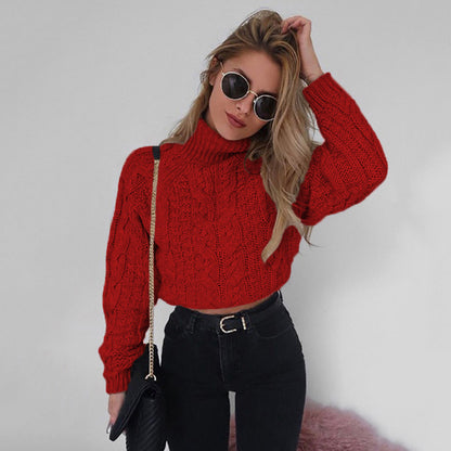 Casual Twist Bat Sleeve Crop Knitting Sweater