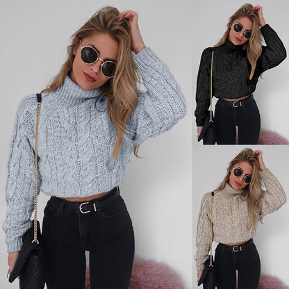 Casual Twist Bat Sleeve Crop Knitting Sweater