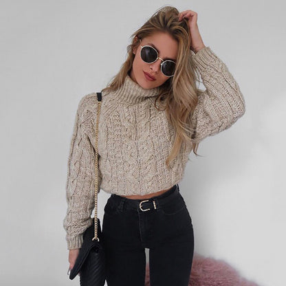 Casual Twist Bat Sleeve Crop Knitting Sweater