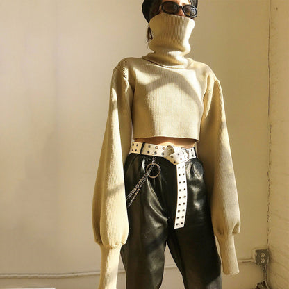 High-collared Lantern Sleeve Crop Tops Sweaters