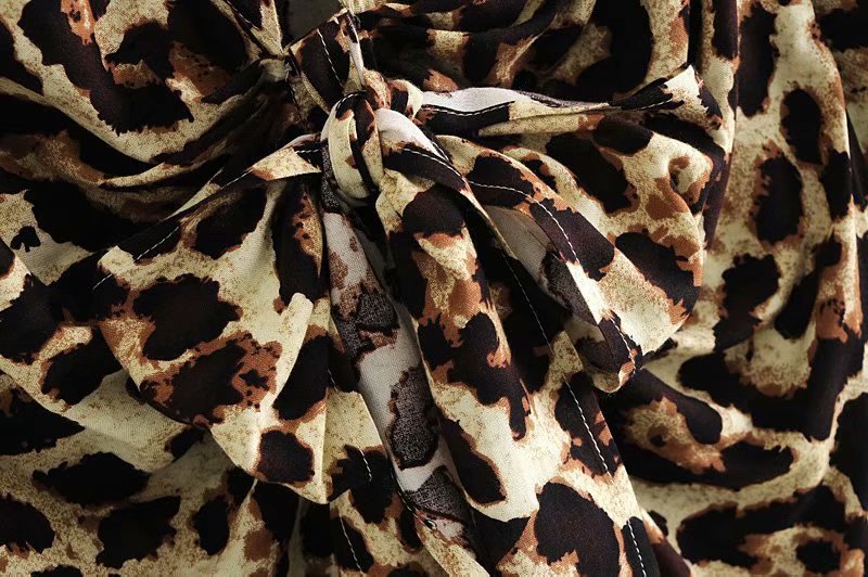 Lace-up Leopard Lapel Floral Mini Dresses