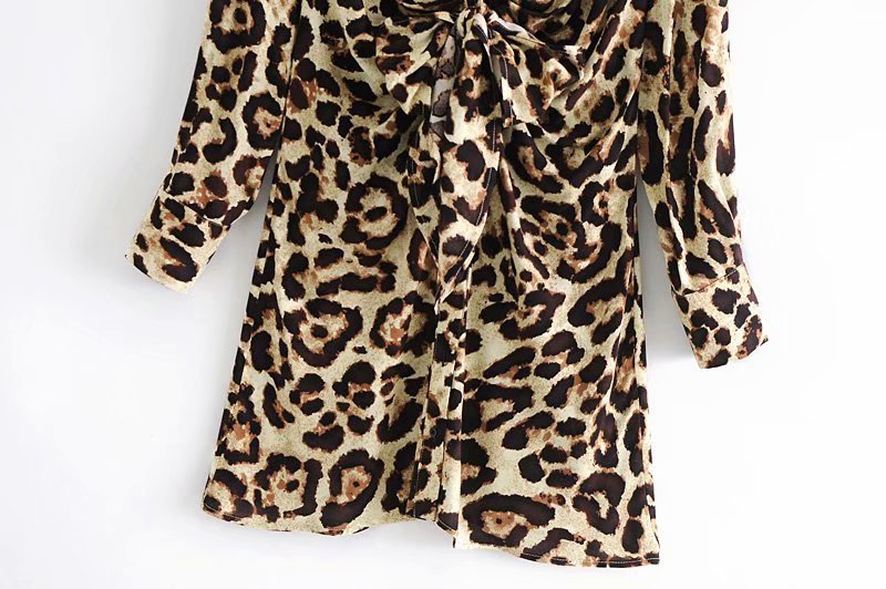 Lace-up Leopard Lapel Floral Mini Dresses